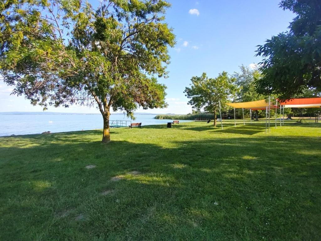 Sir David Balaton Castle Apartmanok Balatonszepezd Exteriör bild