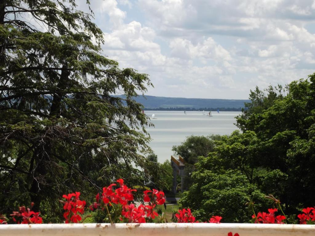Sir David Balaton Castle Apartmanok Balatonszepezd Exteriör bild