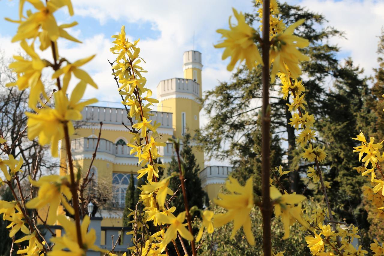 Sir David Balaton Castle Apartmanok Balatonszepezd Exteriör bild