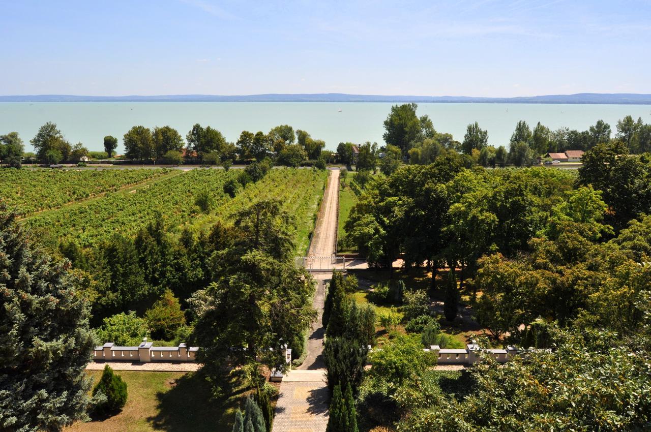 Sir David Balaton Castle Apartmanok Balatonszepezd Exteriör bild